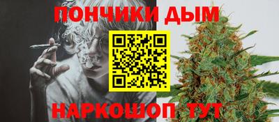 прущие грибы Краснодар