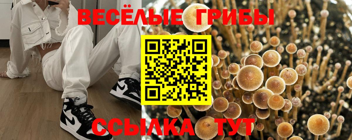 Барабинск  Псилоцибиновые грибы ЛСД  Вход с VPN 